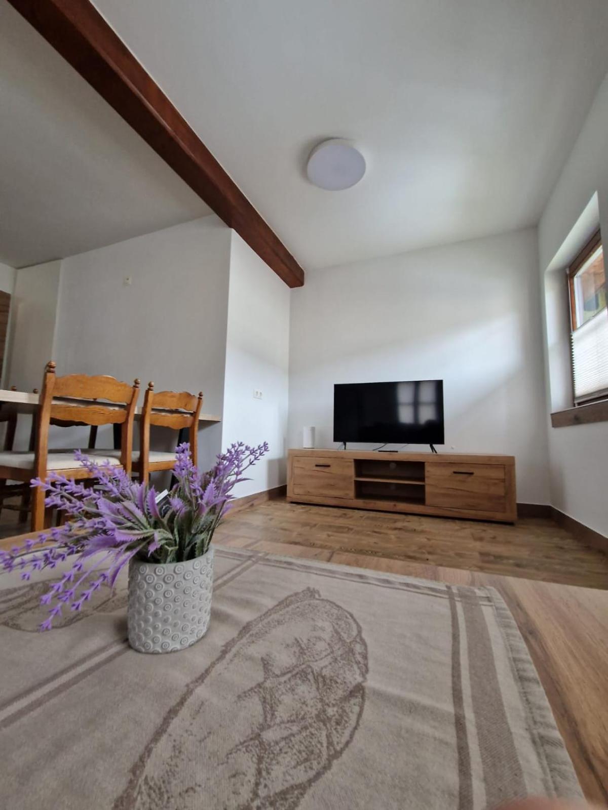 Haus-Ennstal Apartment Oblarn Luaran gambar