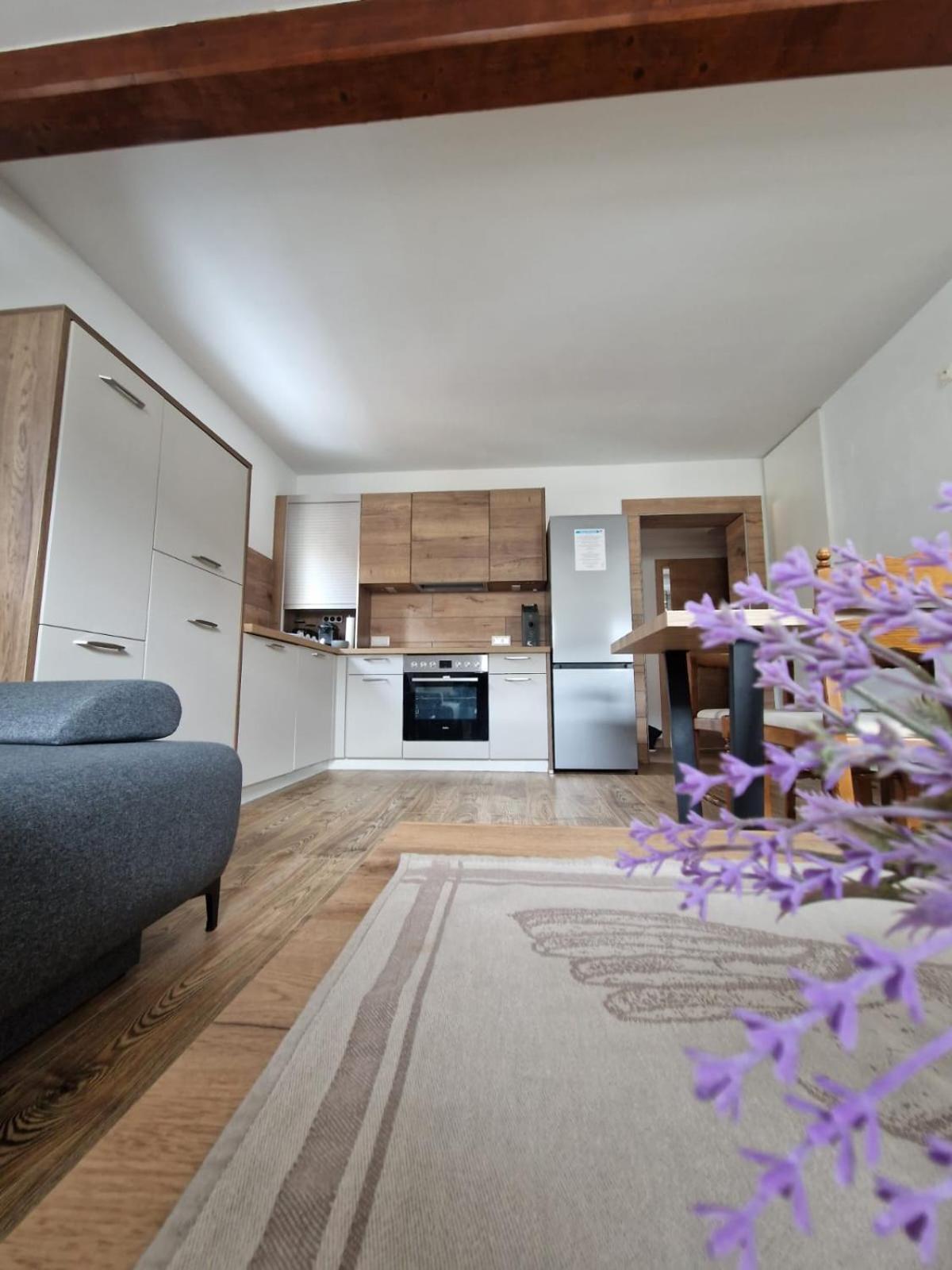 Haus-Ennstal Apartment Oblarn Luaran gambar